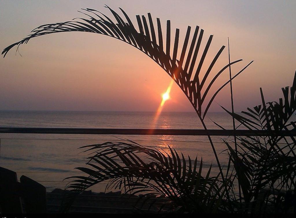 ซีเจ วิลลา Hotel โคลอมโบ ภายนอก รูปภาพ